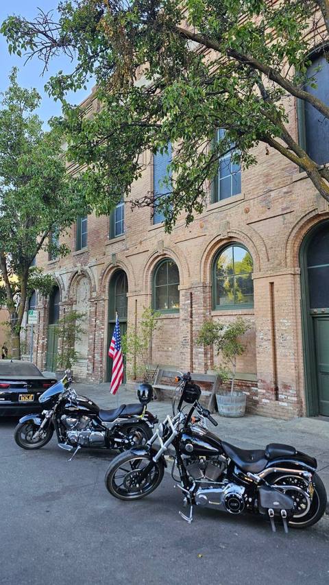 Motorcycles parked beside a tree and a brick building.