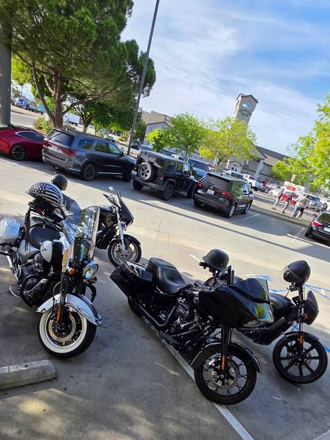 Several motorcycles parked along a tree-lined street.