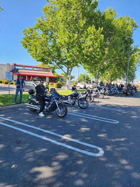 A line of parked motorcycles beneath trees along a street.